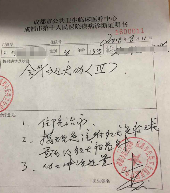 成都13歲少年在小區內被咬傷傷人犬為主城區禁養犬