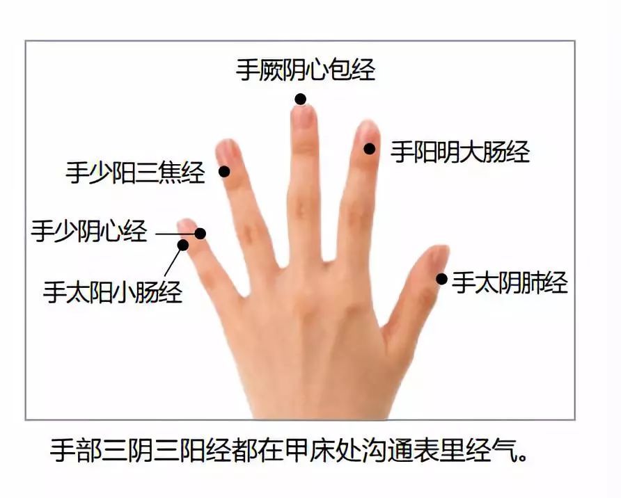 如何通过指甲看健康?