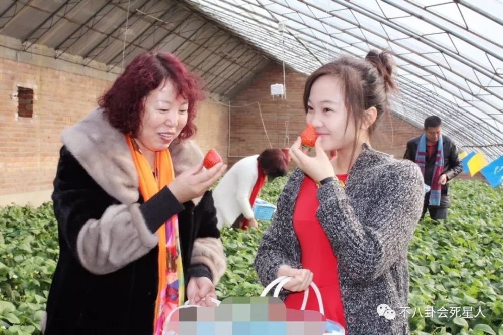 奥运女孩林妙可长胖遭吐槽 杨沛宜气质出众成