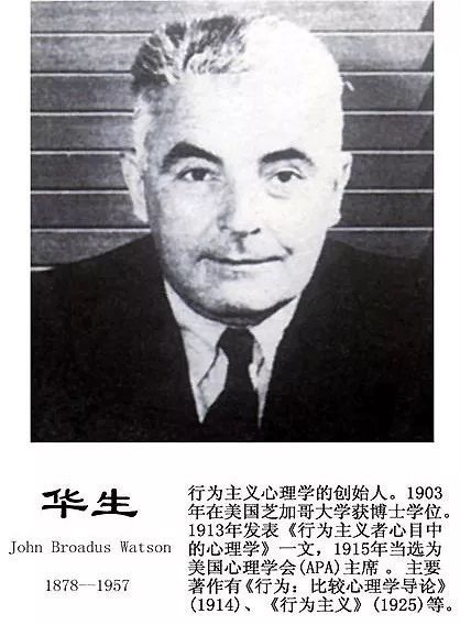 婴儿闷死事件关于母爱你所知道的一切可能都是错的