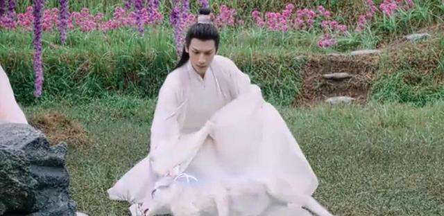 《香蜜沉沉烬如霜》魇兽装死,润玉架设彩虹,只