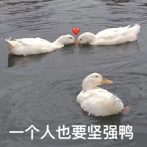 谁说软饭男只在日剧里有,现实生活中明明也存