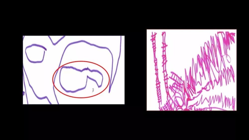 中国科学院心理研究所|当孩子画画时，他们在画什么？