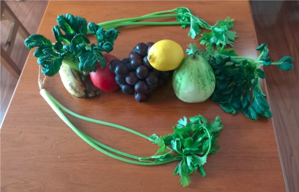 中国科学院心理研究所|当孩子画画时，他们在画什么？