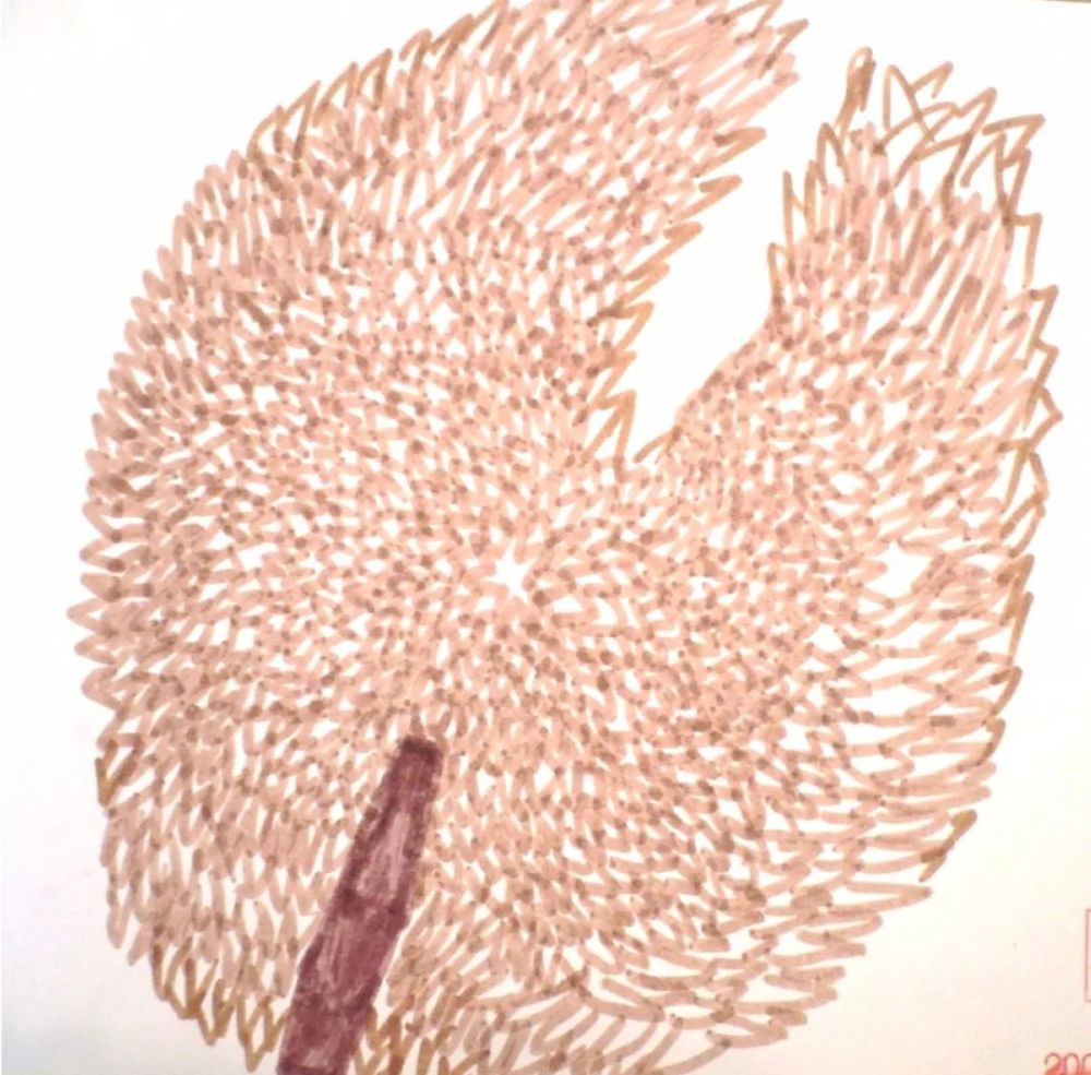 中国科学院心理研究所|当孩子画画时，他们在画什么？