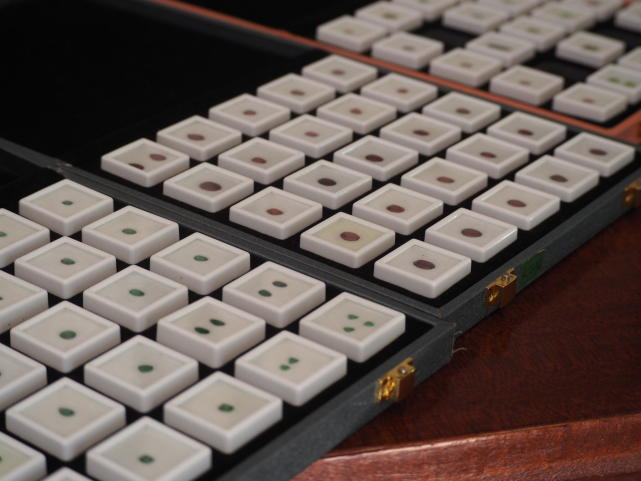 非洲肯尼亚十大特产除了马赛手镯披肩咖啡豆还有什么