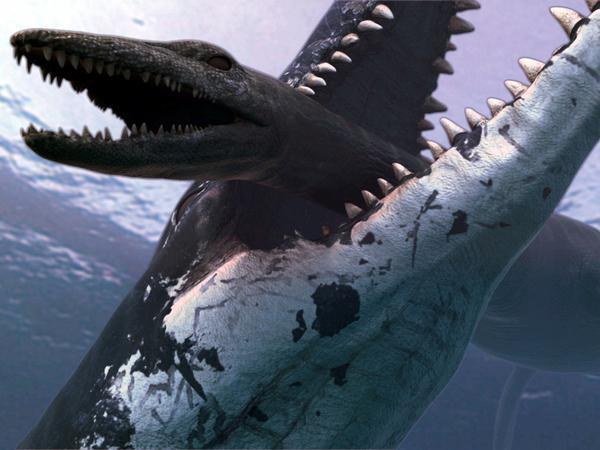 电影《巨齿鲨》取景地在三亚,那么真有大鲨鱼
