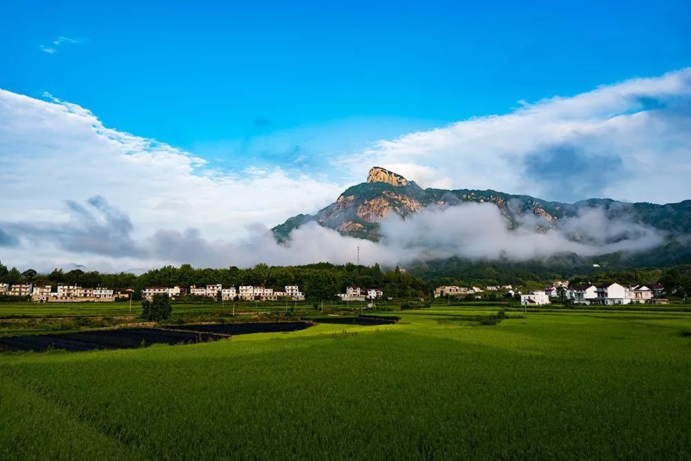 坐佛肩部,西自民族英雄南宋张德兴将军建司空山寨之西城门,东至店前镇