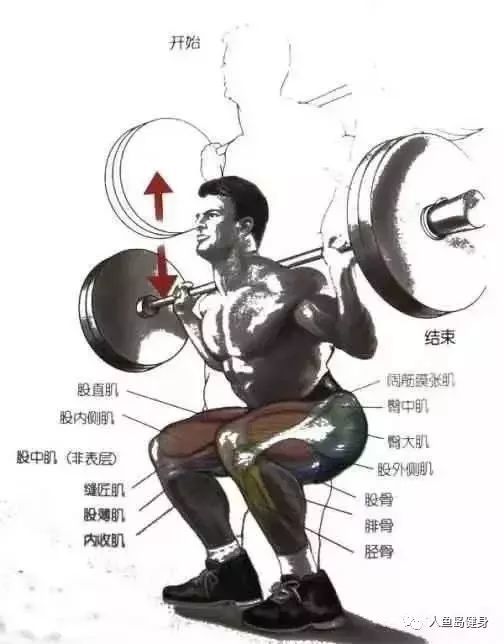 难怪深蹲总出错仅与杠铃有关联的细节就这么多