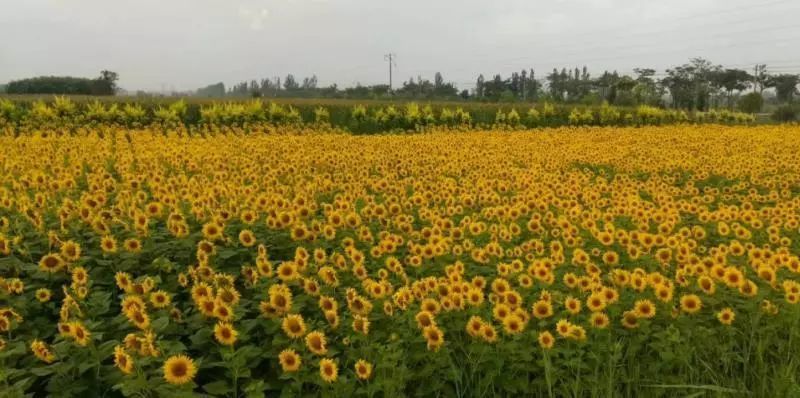 上世纪七八十年代,改革开放造就了部分"万元户",姜海峰为人实在又