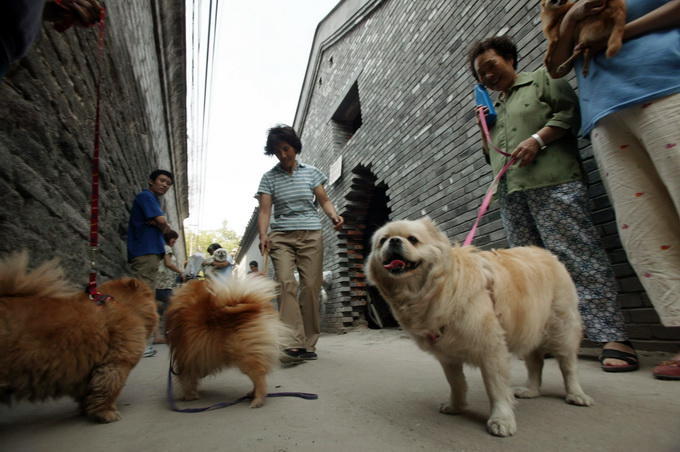 宠物看病动辄花费几千上万 宠物医院花销为啥