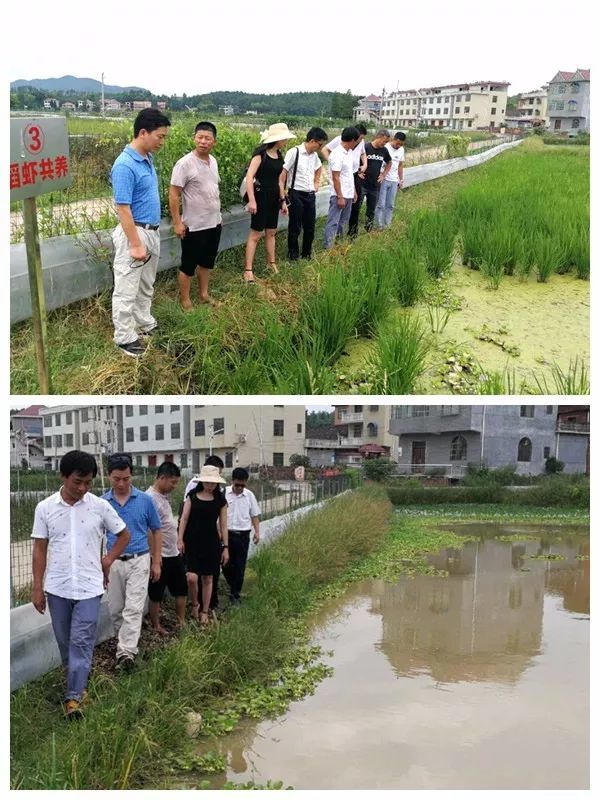 其中,顾泽茂博士为华中农业大学水产学院教授,博士生导师