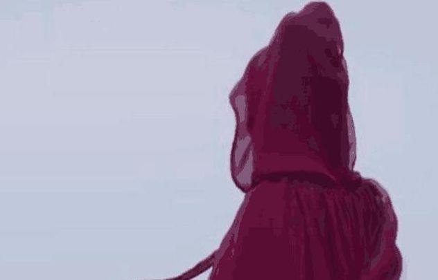 《香蜜》天帝糟蹋过的三位仙女,先花神不是最