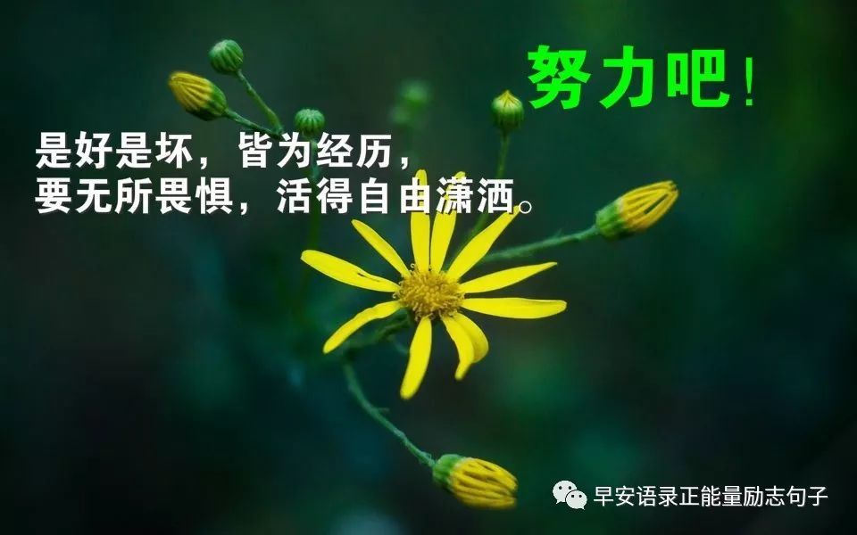 2020致自己的励志话语