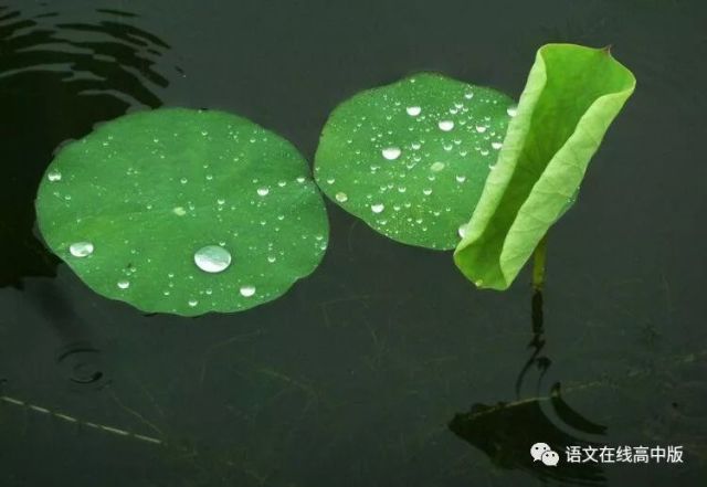 那些与水有关成语典故