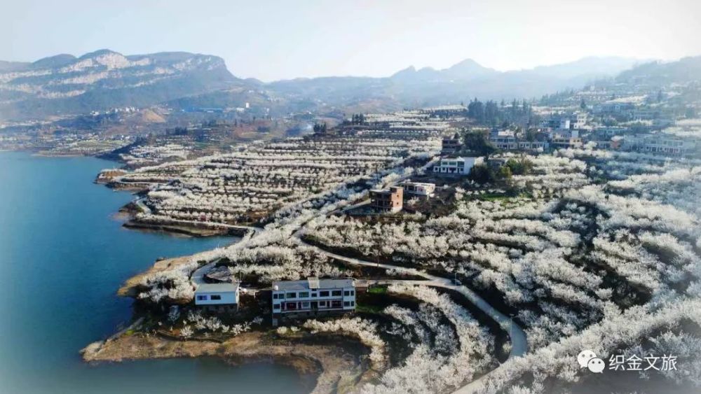 织金马场镇欢迎您!