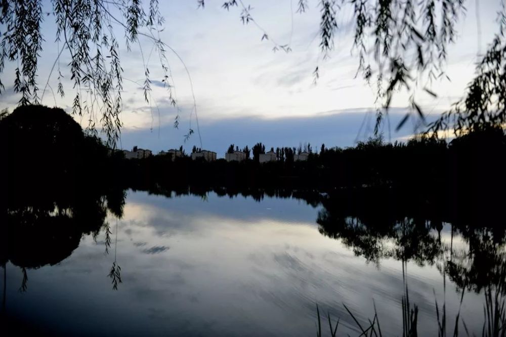 戈壁滩上长出绿色小镇,中山援疆干部工作成效