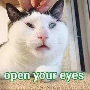 张嘉倪生产后7天瘦8斤,这比吃减肥药速度还快