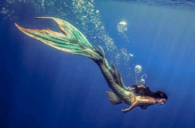 美人鱼传说火遍全球,中国的美人鱼凄惨,日本却