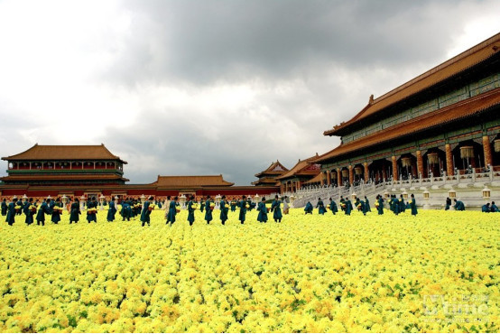 秦俊杰《满城尽带黄金甲》与影帝飚戏,周润发