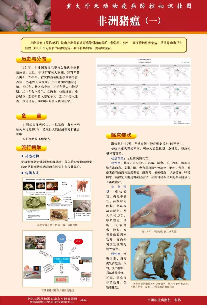 非洲猪瘟防控知识挂图,非洲猪瘟的临床表现、