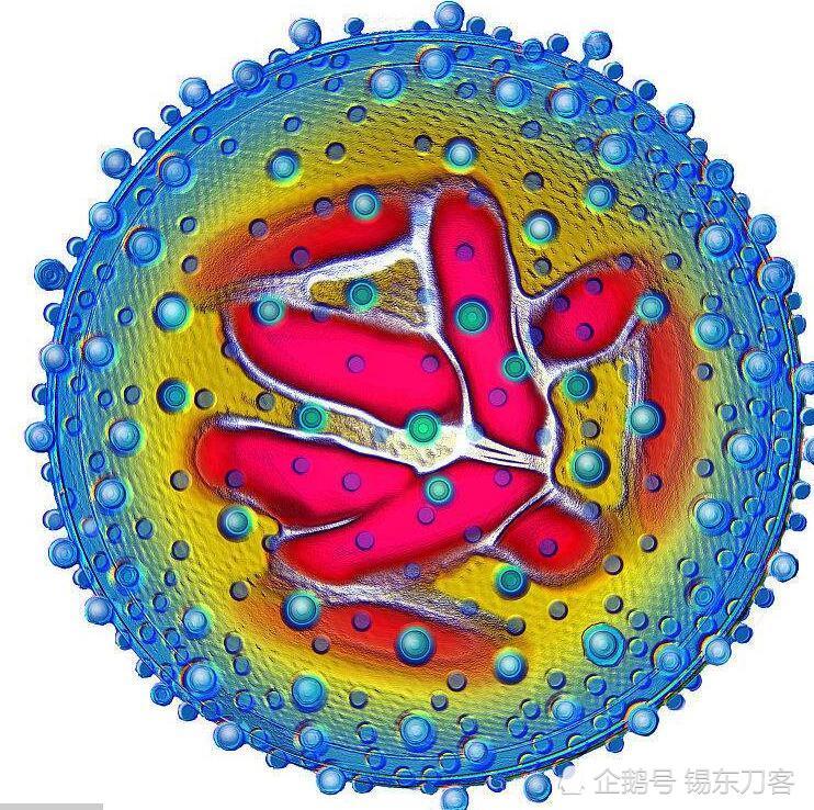 百年前的西班牙流感,死亡人数超过你的想象