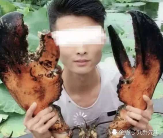 快手网红做吃播半年花光父母所有积蓄,看了他