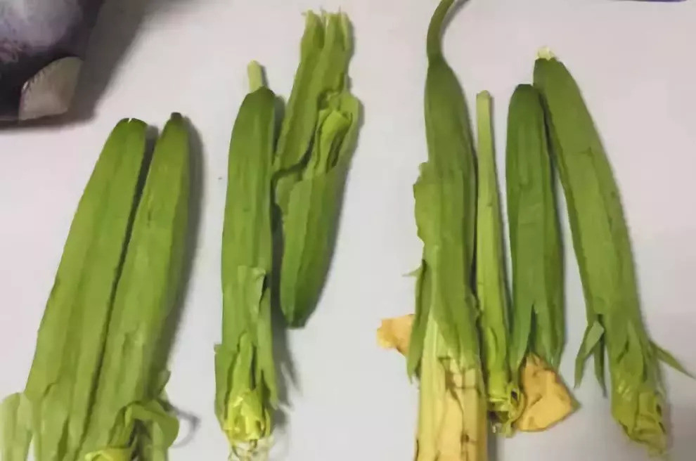 功能农业:好种的中草药品种推荐