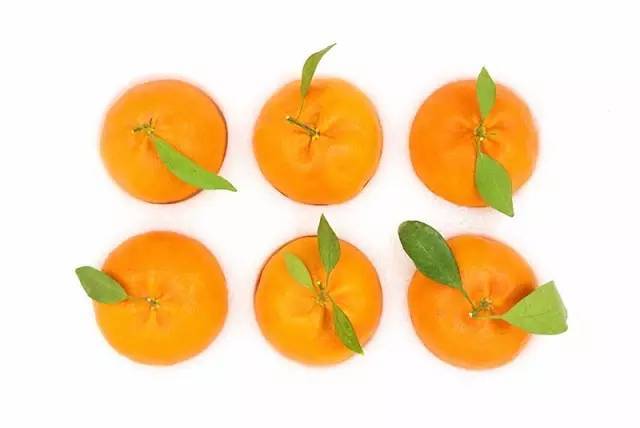 100元一个,这到底是什么柑橘新品种?