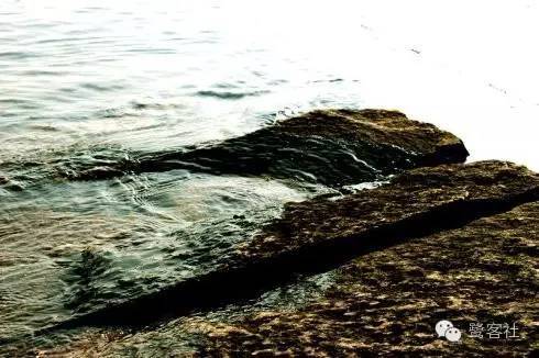 海蛎|台海隔绝，是闽人的哀歌！