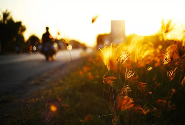 人是为活着本身而活着,而不是为了活着之外的