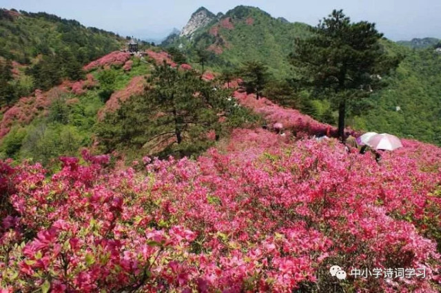 绝句二首唐杜甫