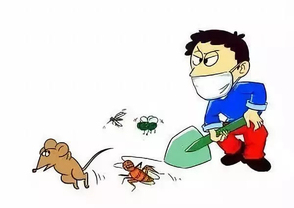 除四害生活小窍门蚊蝇蟑鼠哪里逃