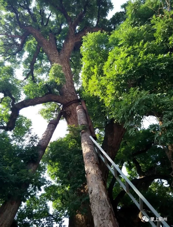 許家臺鎮許家臺村的