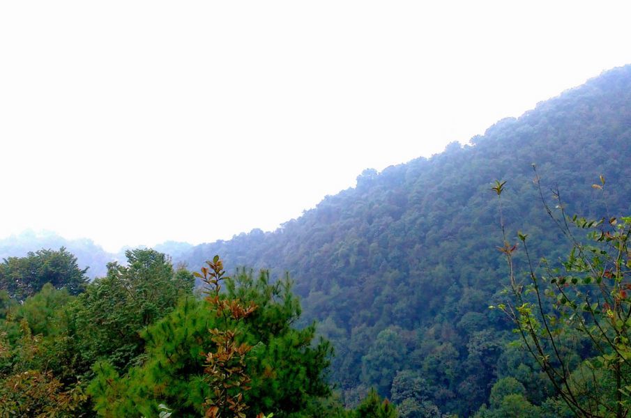 重庆爬山扫黄最强攻略,莫辜负周末大好时光!