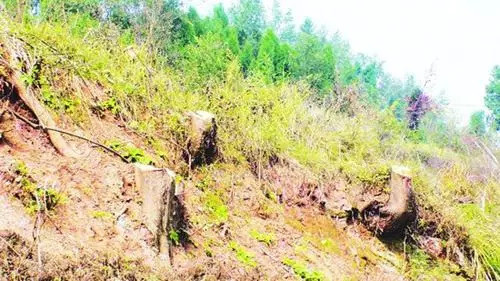 山西省公布2018年第一批破坏生态环境违法犯