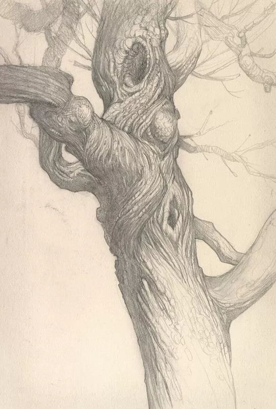 素描,一棵树就是一道最美的风景!