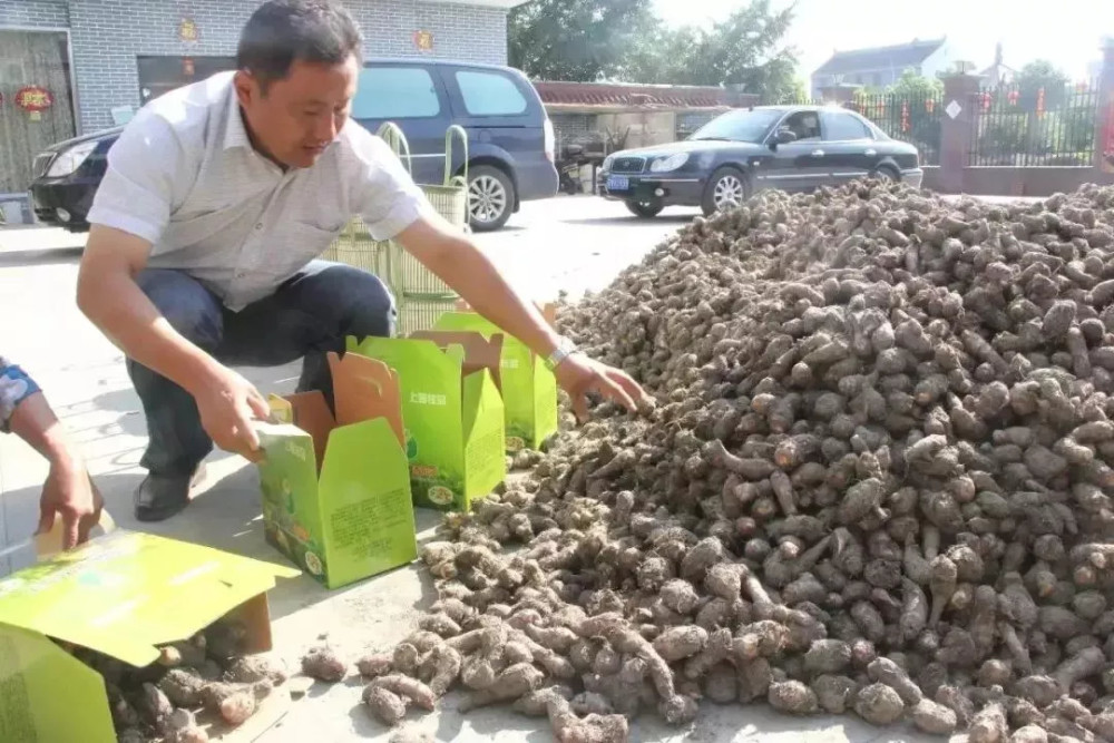 好消息!泰州这些村镇成为全国示范 有你的家乡