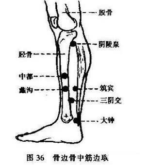 说明内脏有炎症!