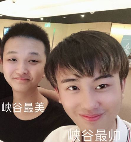 kpl转会结束,estar与qghappy猫狗互换,xq赚翻,几大强队大换血