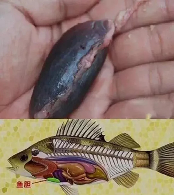 竟然都是它惹的祸!这个"杀手"你家也有