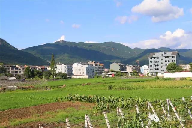 《永嘉古村》之枫林村—新月带星的"楠溪第一村"