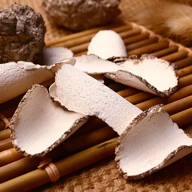 虎奶菌,也叫老虎奶,是一种珍贵的食用菌_腾讯新闻