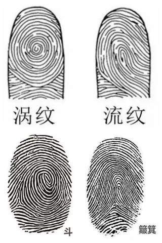 易经看手相:一斗穷,二斗富,九斗十斗享清福