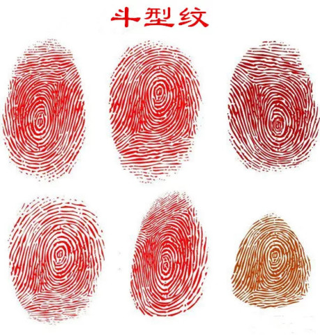 易经看手相:一斗穷,二斗富,九斗十斗享清福