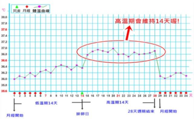 是每天你睁开眼,还没起床的时候,测的那个体温这个相对于日期推算