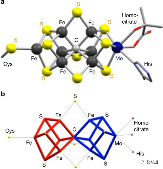 固氮酶中鐵鉬輔因子的結構示意圖:a)靜態結構圖;b)鐵鉬輔因子的無機