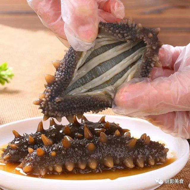 中国顶级海参排行榜,沿海城市大OK