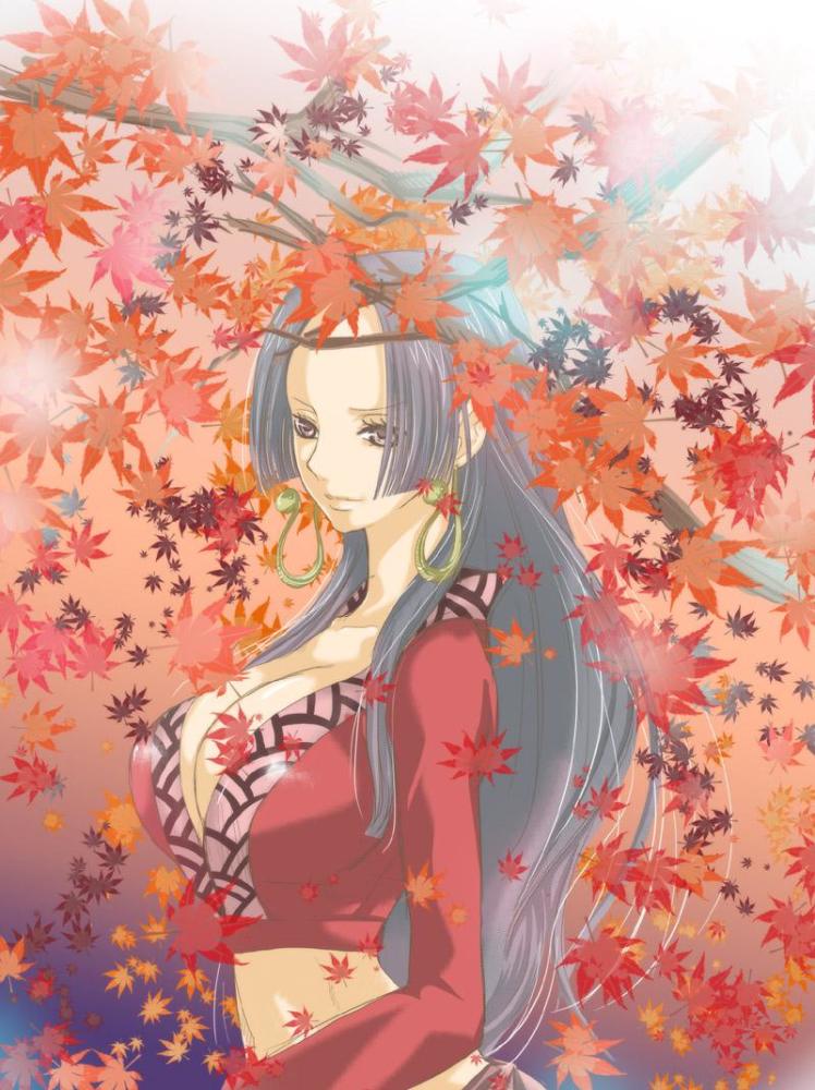 盘点《海贼王》最花心的男人,真是男人不坏女人不爱啊!