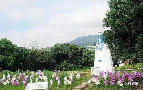 台湾十大最著名的观光农场